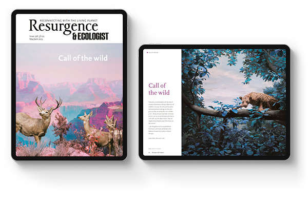 Resurgence & Ecologist Magazine viewed on a black iPad