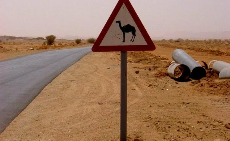 Remains of a pipeline installation on a roadside near Ain Salah, in Algeria's Tamanrasset province. Photo: Thomas via Flickr (CC BY-NC-SA 2.0).