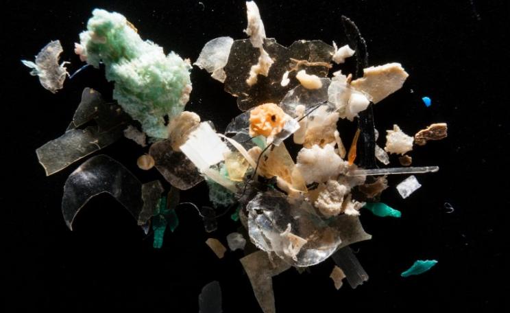 Microplastics in the Chesapeake Bay watershed. Photo: Chesapeake Bay Program via Flickr (CC BY-NC).