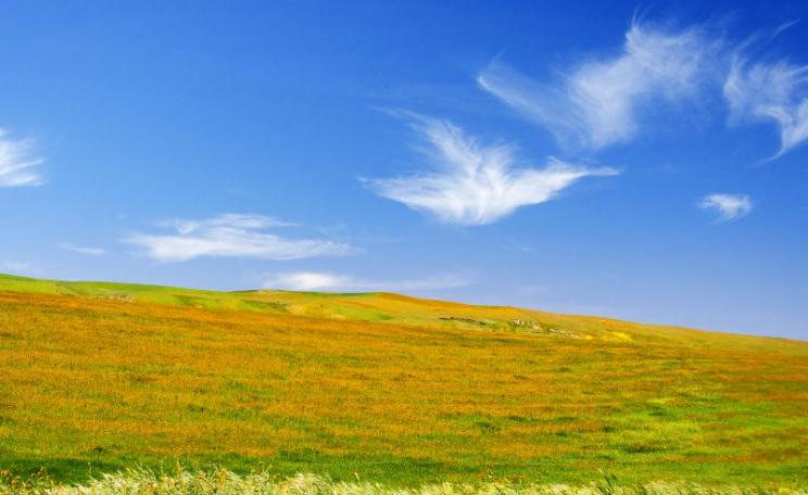 The Carrizo Plain National Monument, California, represents the last remnant of a once vast grassland. It is just one of 27 at risk form Trump's executive order. Photo: Steve Corey via Flickr (CC BY-NC-ND).