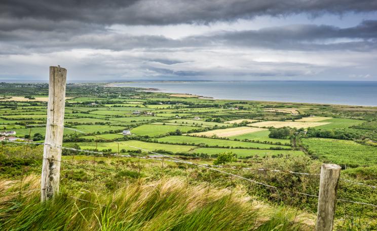 A blustery scene of fields and sea