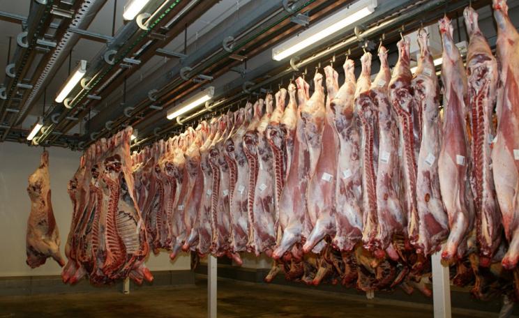 Meat processing