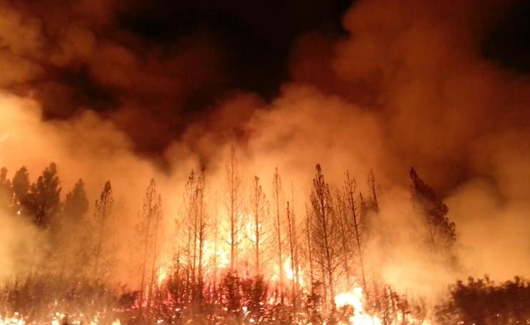 Fire in Yosemite National Park