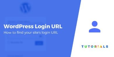 WordPress Login URL