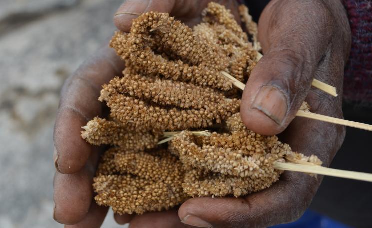 Peasant leader with agroecological seeds from ZIMSOFF