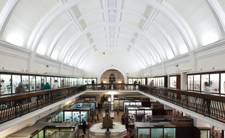 Horniman Museum 